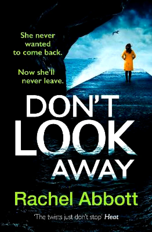 Wildfire Don't Look Away: the pulse-pounding thriller from the queen of the page turner Rachel Abbott Wildfire 0803