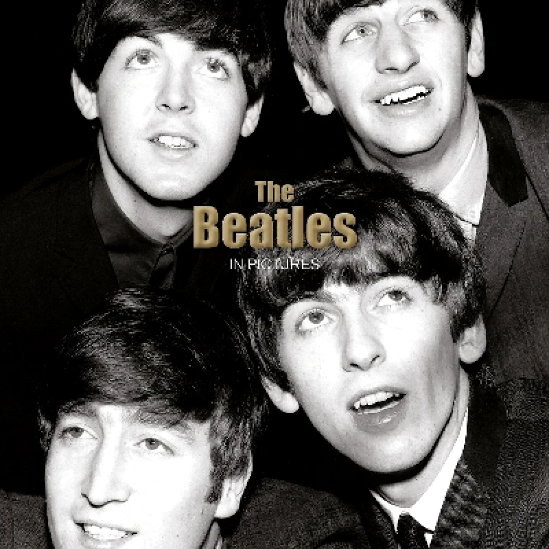 Ammonite Press The Beatles: In Pictures Ammonite Press