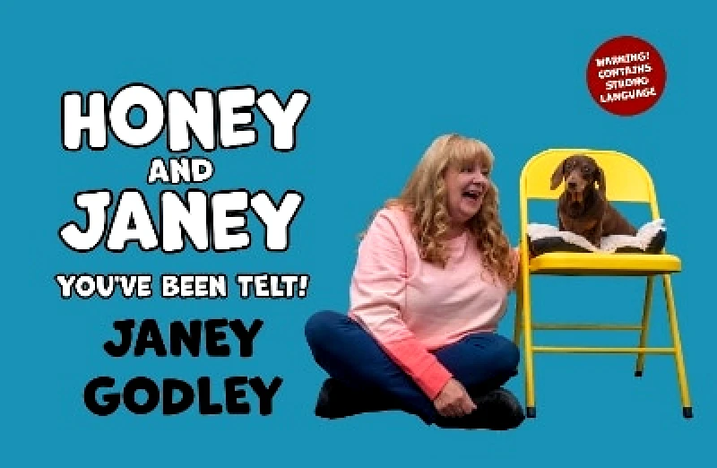 Luath Press Ltd Honey and Janey: You've Been Telt Janey Godley Luath Press Ltd