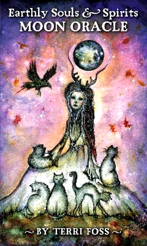 U.S. Games Earthly Souls and Spirits Moon Oracle Terri Foss U.S. Games 1115