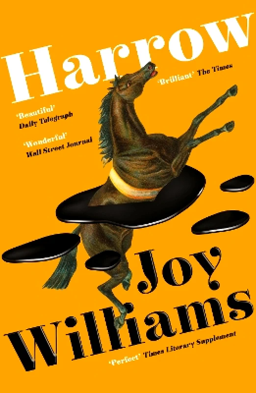 Tuskar Rock Harrow Joy Williams Tuskar Rock 1103
