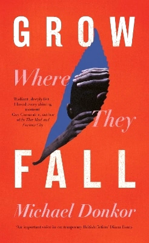 Fig Tree Grow Where They Fall Michael Donkor Fig Tree