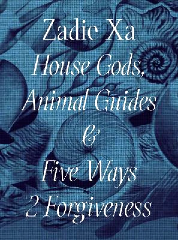 Whitechapel Gallery Zadie Xa: House Gods, Animals Guides and Five Ways 2 Forgiveness Whitechapel Gallery 0615