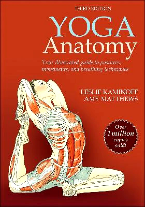 Human Kinetics Yoga Anatomy Amy Matthews Human Kinetics