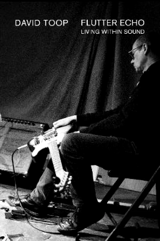 Ecstatic Peace Library Flutter Echo: Living Within Sound David Toop Ecstatic Peace Library Paperback / softback