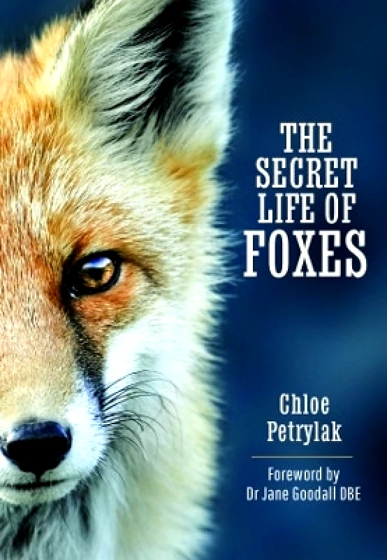 White Owl The Secret Life of Foxes Chloe Petrylak White Owl