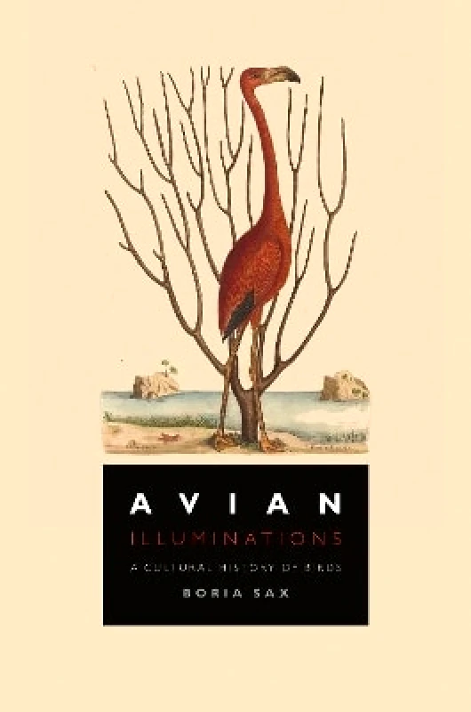 Reaktion Books Avian Illuminations: A Cultural History of Birds Boria Sax Reaktion Books