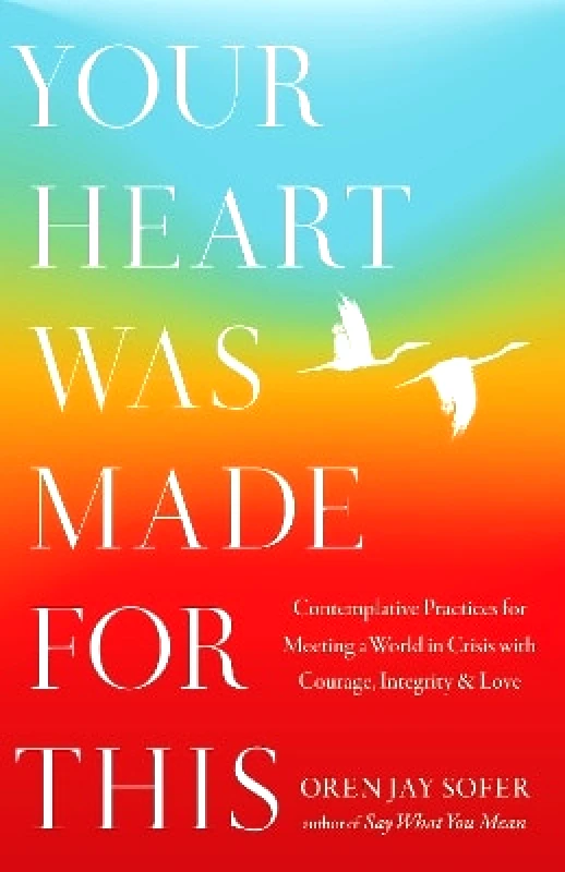 Shambhala Publications Inc Your Heart Was Made For This: Contemplative Practices for Meeting a World in Crisis with Courage, Integrity, and Love Oren Jay Sofer Shambhala Publications Inc
