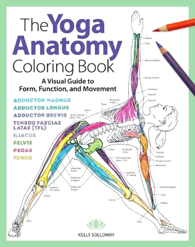 Get Creative 6 The Yoga Anatomy Coloring Book: A Visual Guide to Form, Function, and Movement Kelly Solloway Get Creative 6