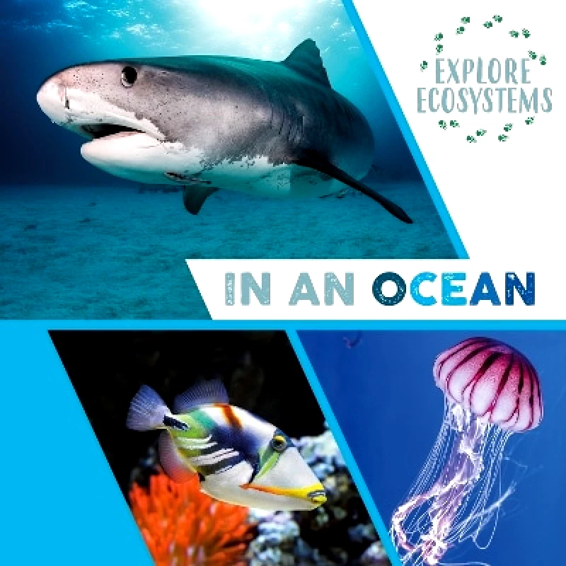 Wayland Explore Ecosystems: In an Ocean Sarah Ridley Wayland