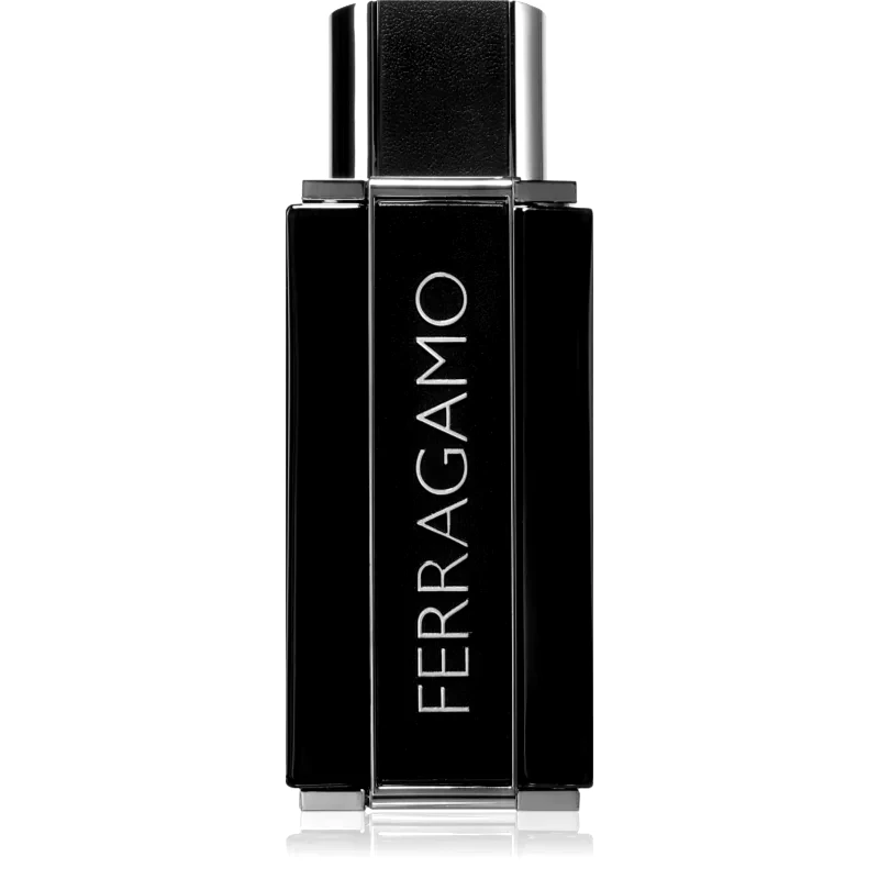 Ferragamo Ferragamo Sublime Leather Eau de Parfum για άντρες 100 ml