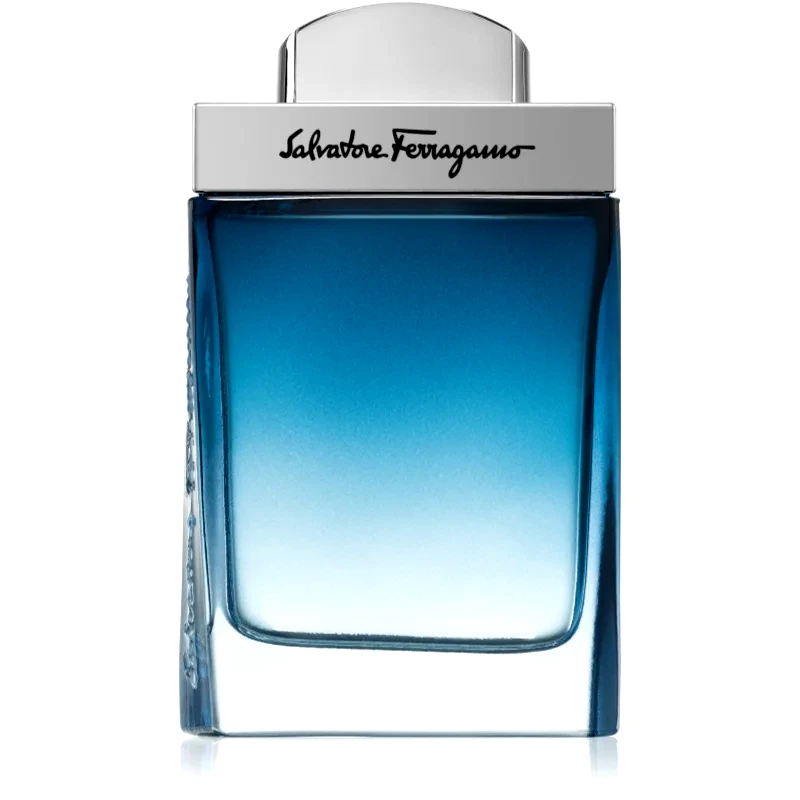 Ferragamo Ferragamo Subtil Pour Homme Eau de Toilette για άντρες 50 ml