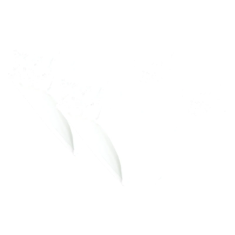 ANNE WEYBURN Σλιπ MINIFIQUE (σετ των 2)