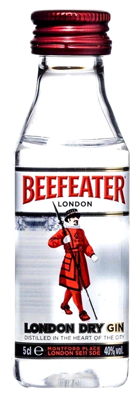 BEEFEATER GIN BEEFEATER (PET) 50 ML