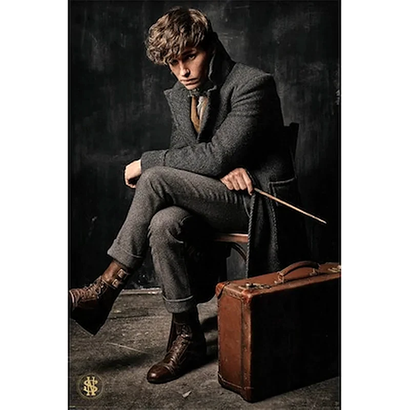 PYRAMID INTERNATIONAL Αφίσα Fantastic Beasts Newt Scamander Κάθετη 61 x 91.5 cm