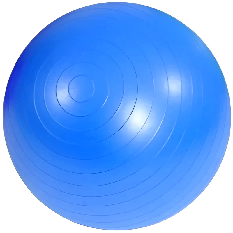 OEM Μπάλα Γυμναστικής Κατάλληλη για Pilates 65 cm από PVC - Μπλε