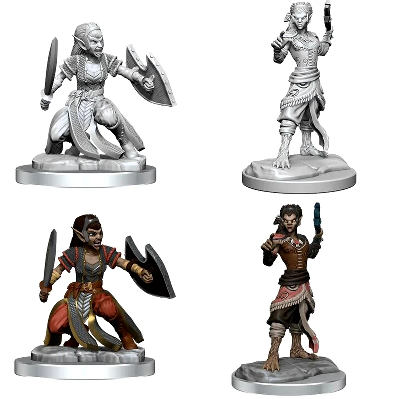 WIZKIDS Dnd Nolzurs Mini Shifter Fighter Dungeons Dragons WIZKIDS