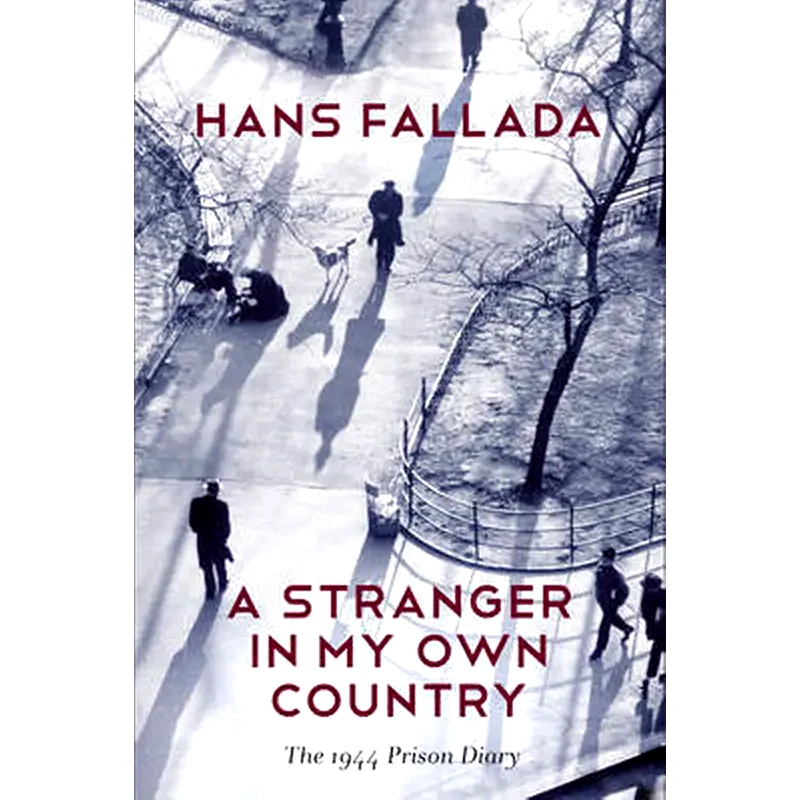 A Stranger in My Own Country