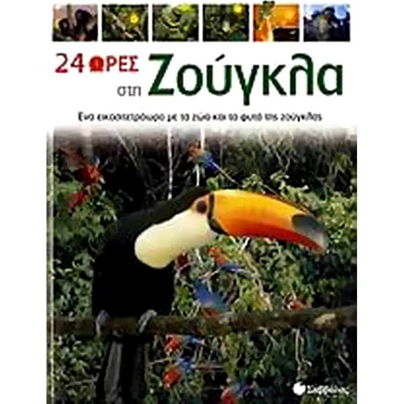 24 ώρες στη ζούγκλα