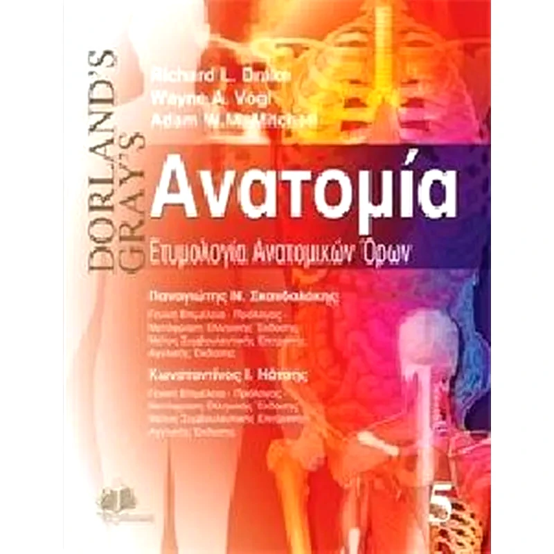 Ανατομία- Ετυμολογία ανατομικών όρων