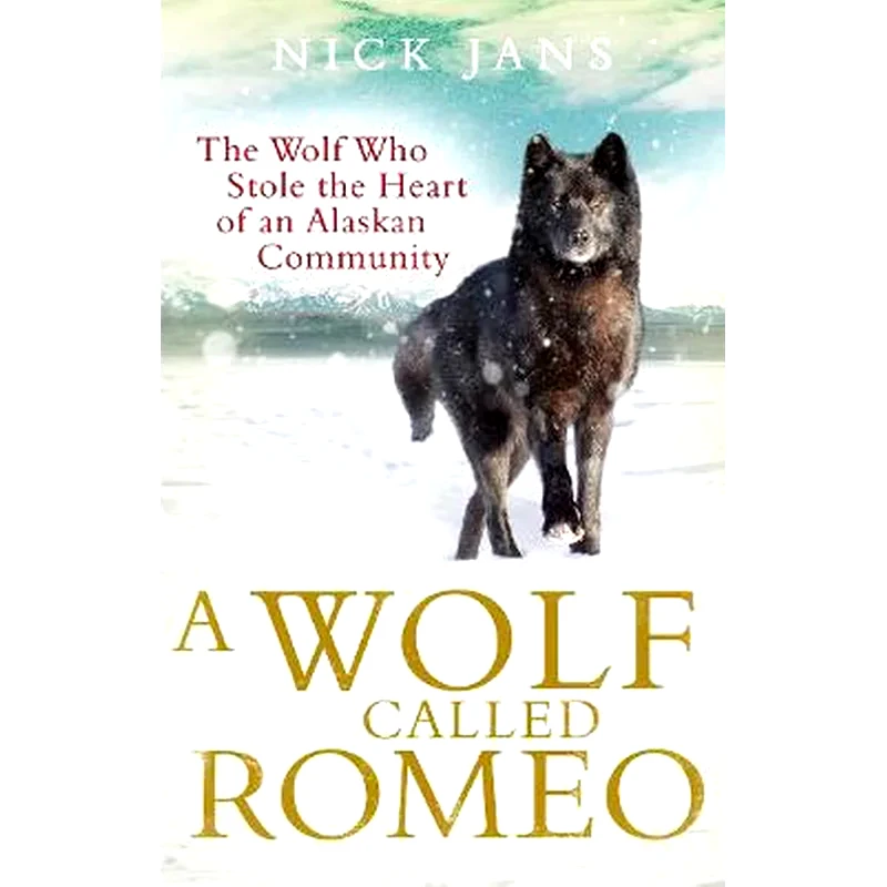 Wolf Called Romeo