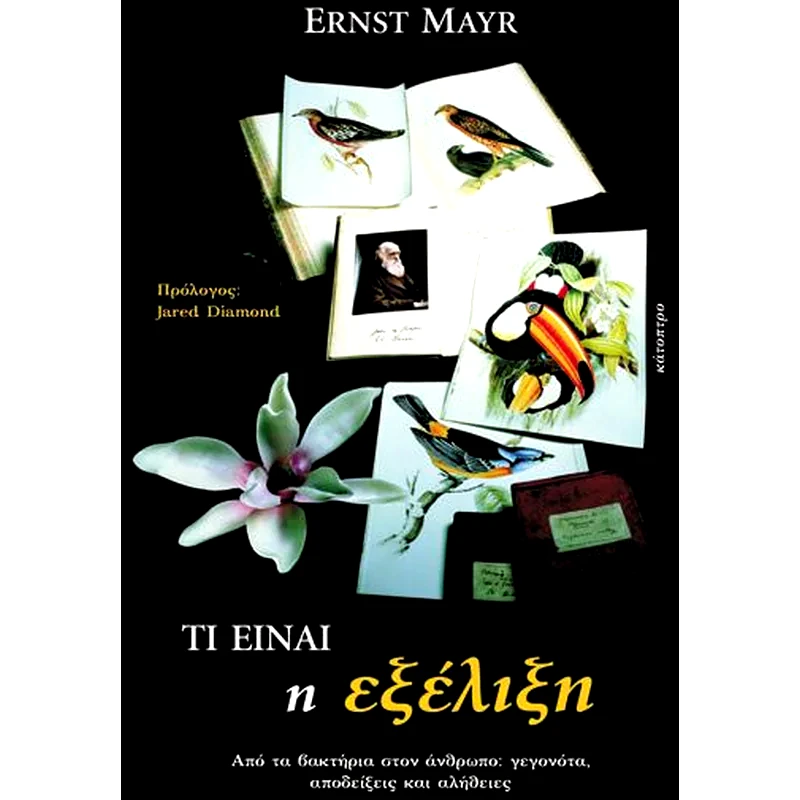 Τι είναι η εξέλιξη