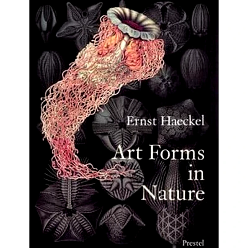 Art Forms in Nature