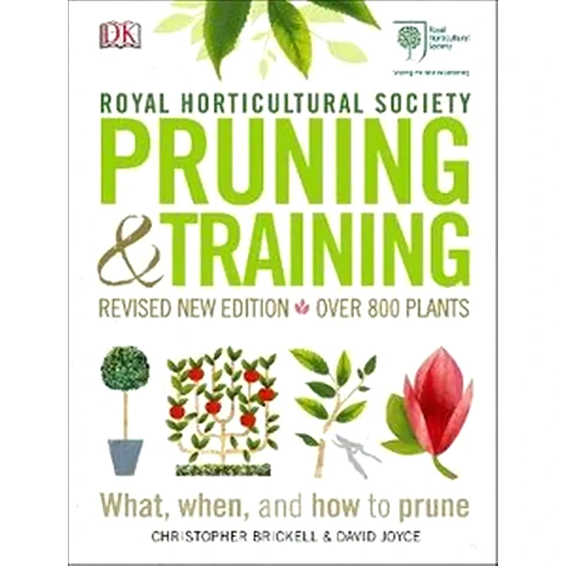 RHS Pruning and Training
