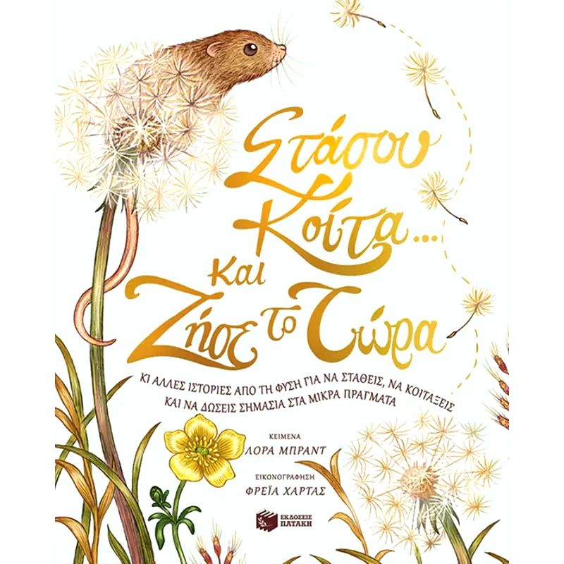 Στάσου, κοίτα και ζήσε το τώρα
