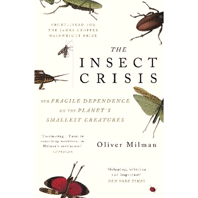 Insect Crisis