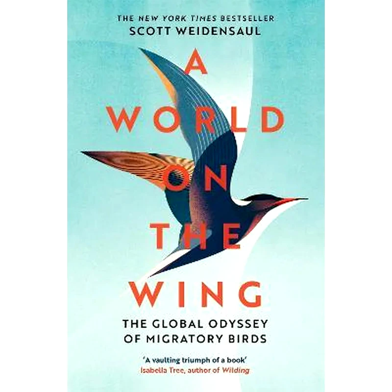World on the Wing