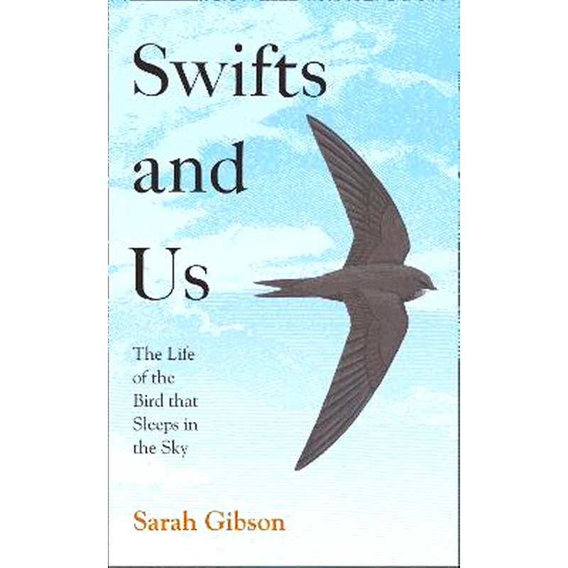Swifts and Us: The Life of the Bird that Sleeps in the Sky