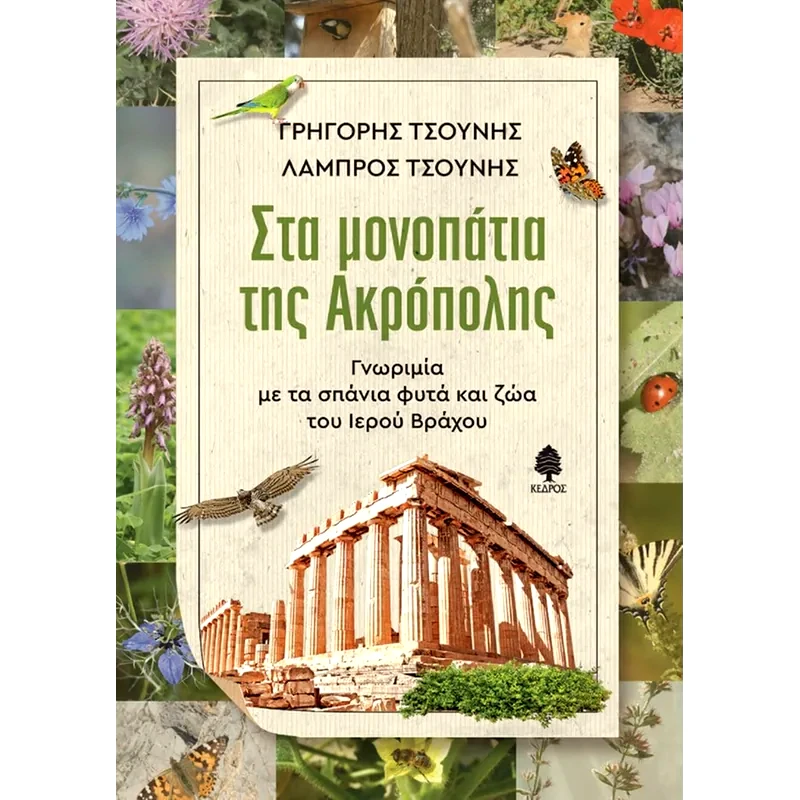 Στα μονοπάτια της Ακρόπολης