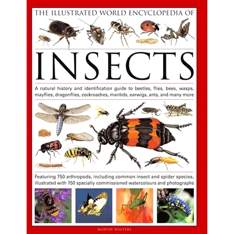 The Illustrated World Encyclopaedia of Insects