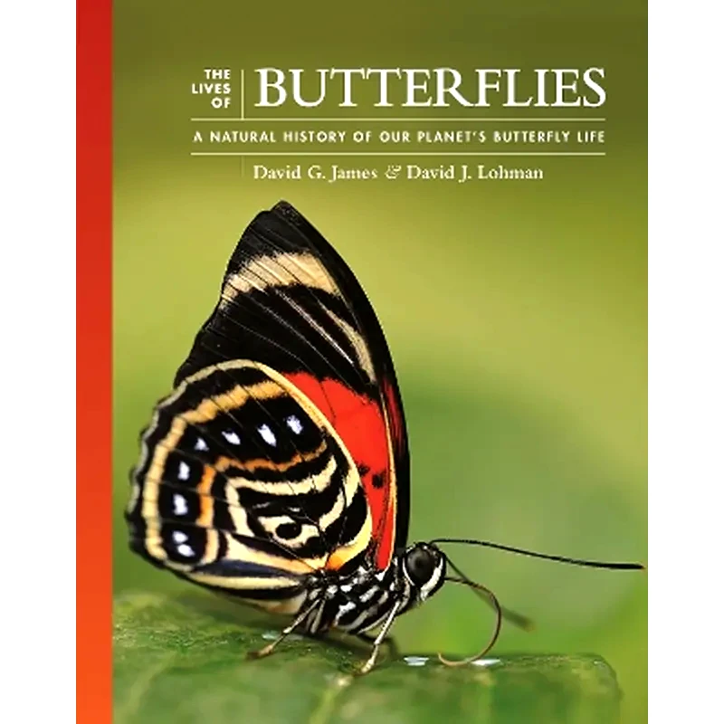 The Lives of Butterflies