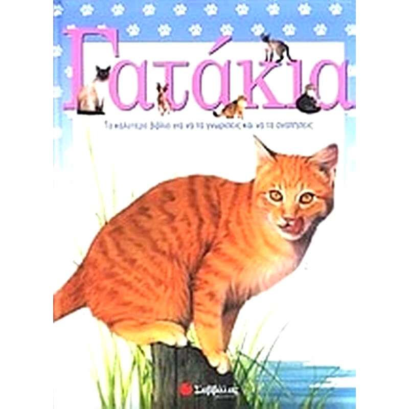 Γατάκια
