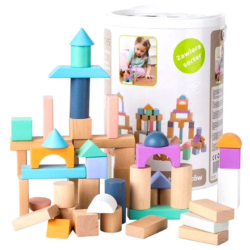 ECOTOYS Σετ Ξύλινα Παιδικά Χρωματιστά Τουβλάκια Ecotoys 100 Κομμάτια