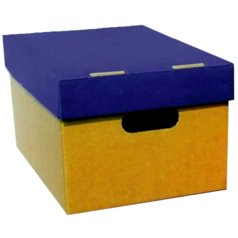 NEXT Κουτί Αποθήκευσης Next με Καπάκι Χάρτινο 21x32x44 cm - Μπλε/Καφέ