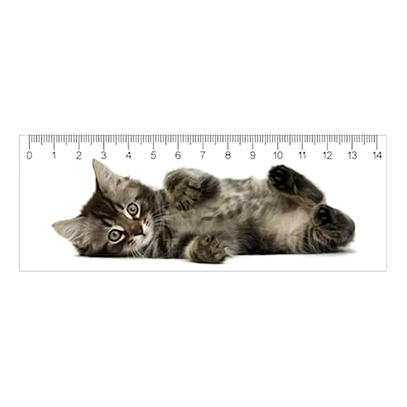 MAP CARDS SRO 3D Χάρακας Map Cards Sro Γατάκι Tabby 15 cm
