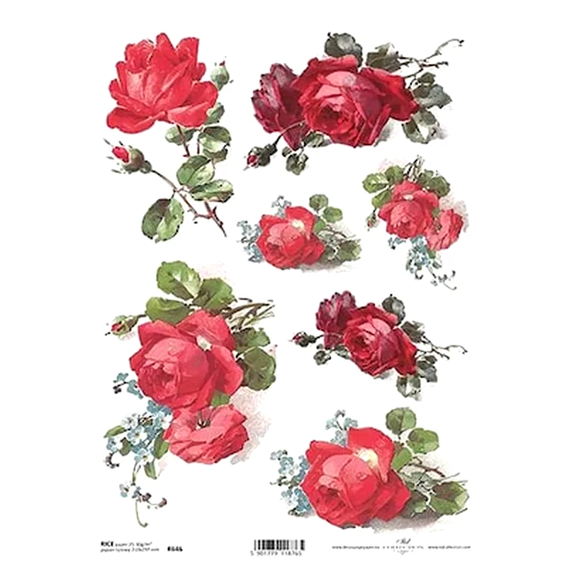 ITD COLLECTION T.JANKOWSKI, W. Ριζόχαρτο red Roses 21x29εκ. (itd-r646)