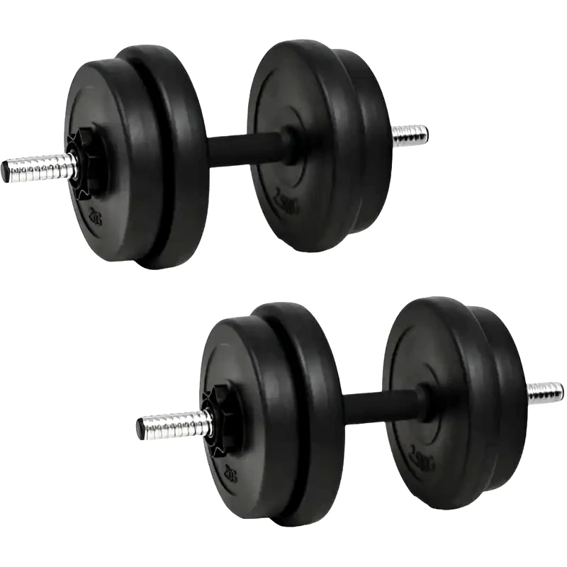 VIDAXL Σετ Αλτήρων VidaXL 10 kg με Δίσκους 2 - 2.5 kg (2 Τεμάχια)
