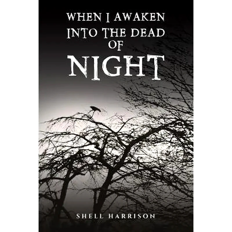 When I Awaken Into The Dead of Night