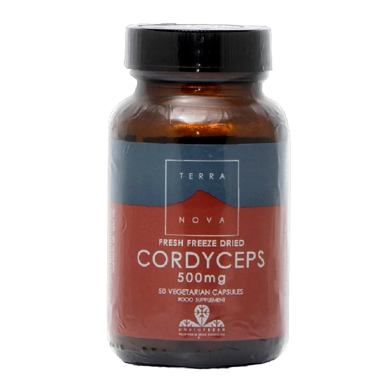Ειδικό Συμπλήρωμα Διατροφής Terranova Cordyceps 500mg - 50 κάψουλες
