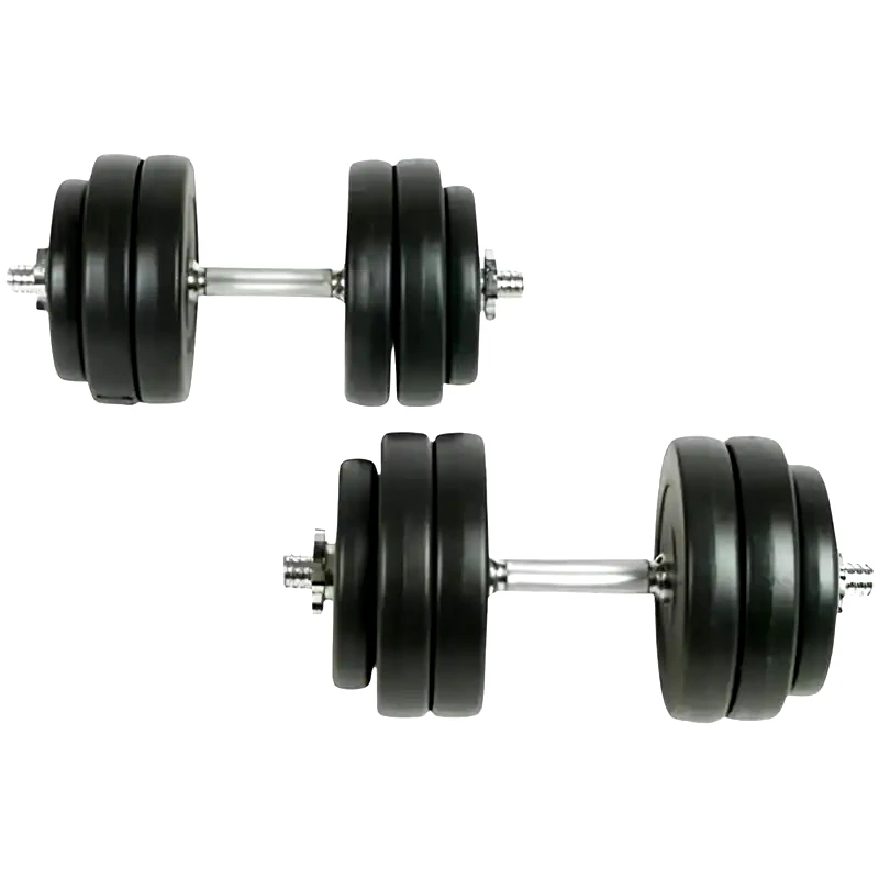 Σετ Αλτήρων VidaXL 30 kg με Δίσκους