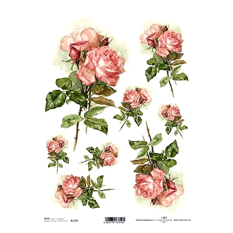ITD COLLECTION T.JANKOWSKI, W. Ριζόχαρτο pink Roses 21x29εκ. (itd-r1202)