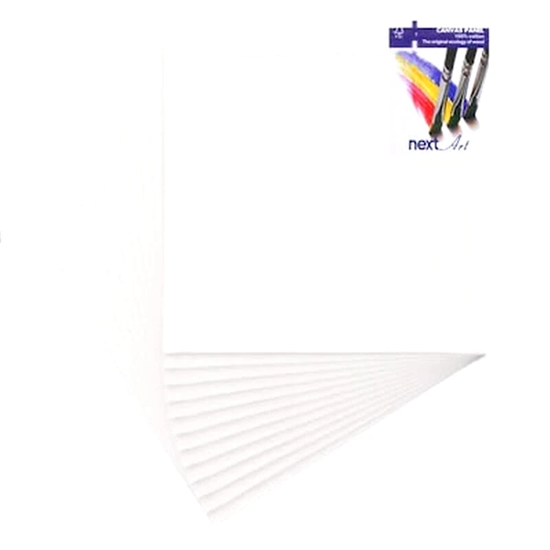 ANHUI TIANHUI INDUSTRIAL &amp; Next Καρτολίνο Ζωγραφικής 40x50εκ. 280γρ.